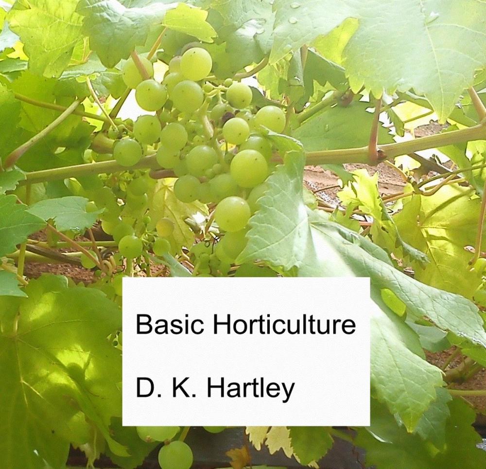 Big bigCover of Basic Horticulture