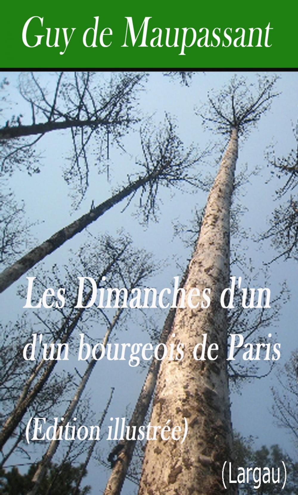 Big bigCover of Les Dimanches d'un bourgeois de Paris - Édition illustrée