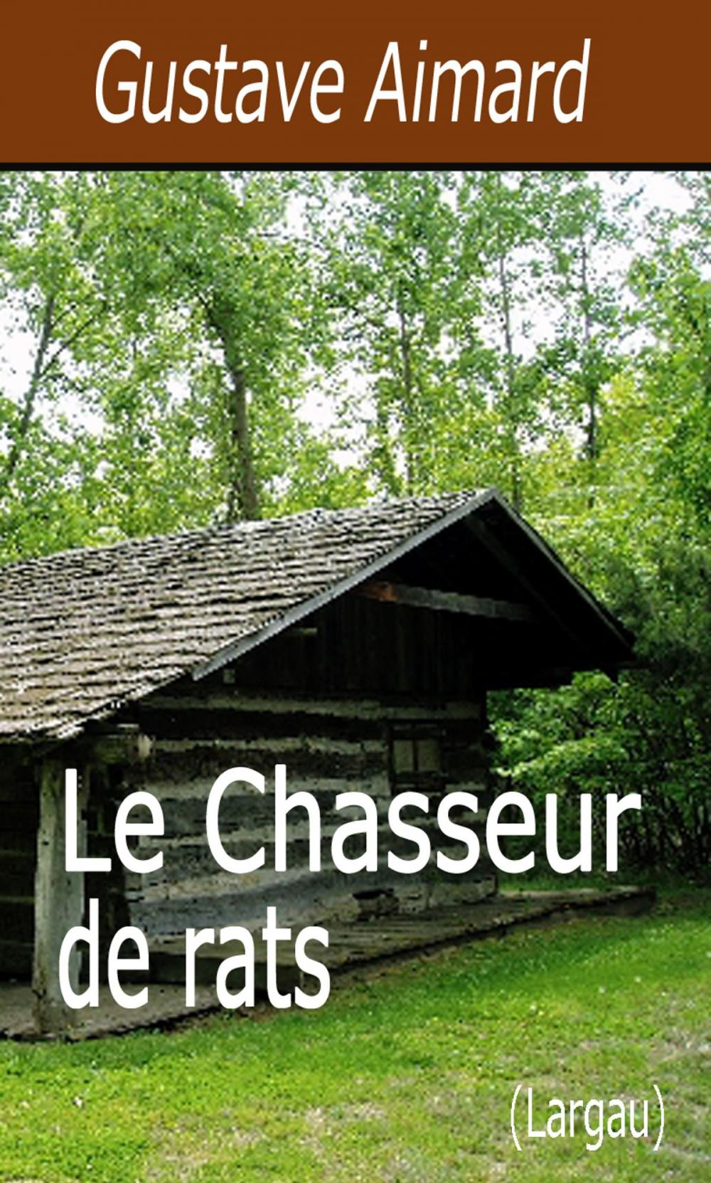 Big bigCover of Le Chasseur de rats