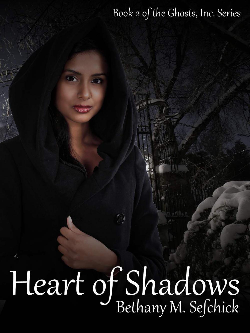 Big bigCover of Heart of Shadows