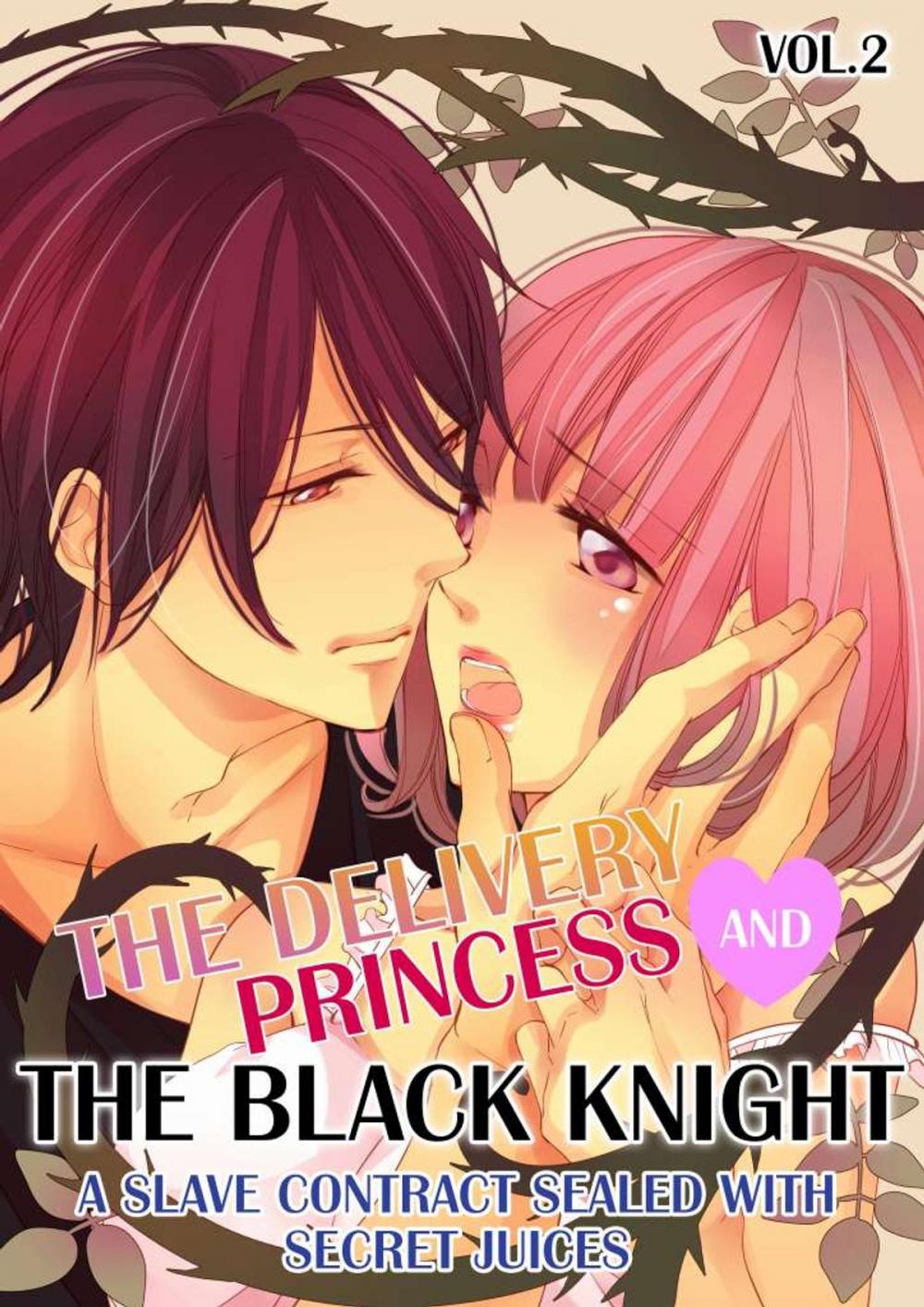 Big bigCover of The Delivery Princess and the Black Knight Vol.2 (TL Manga)