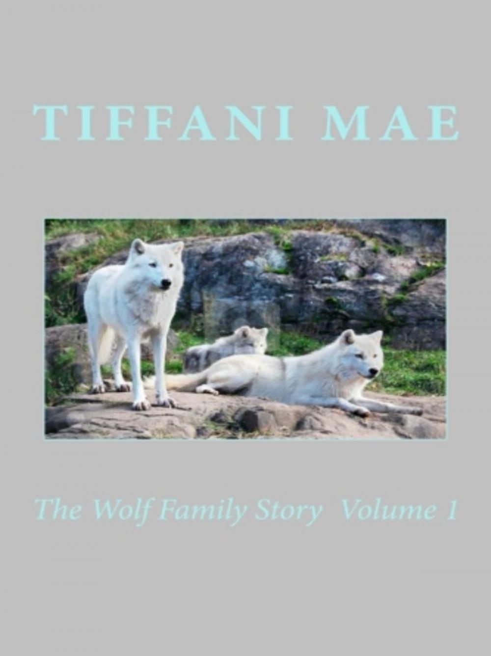 Big bigCover of The Wolf Family Story Volume 1