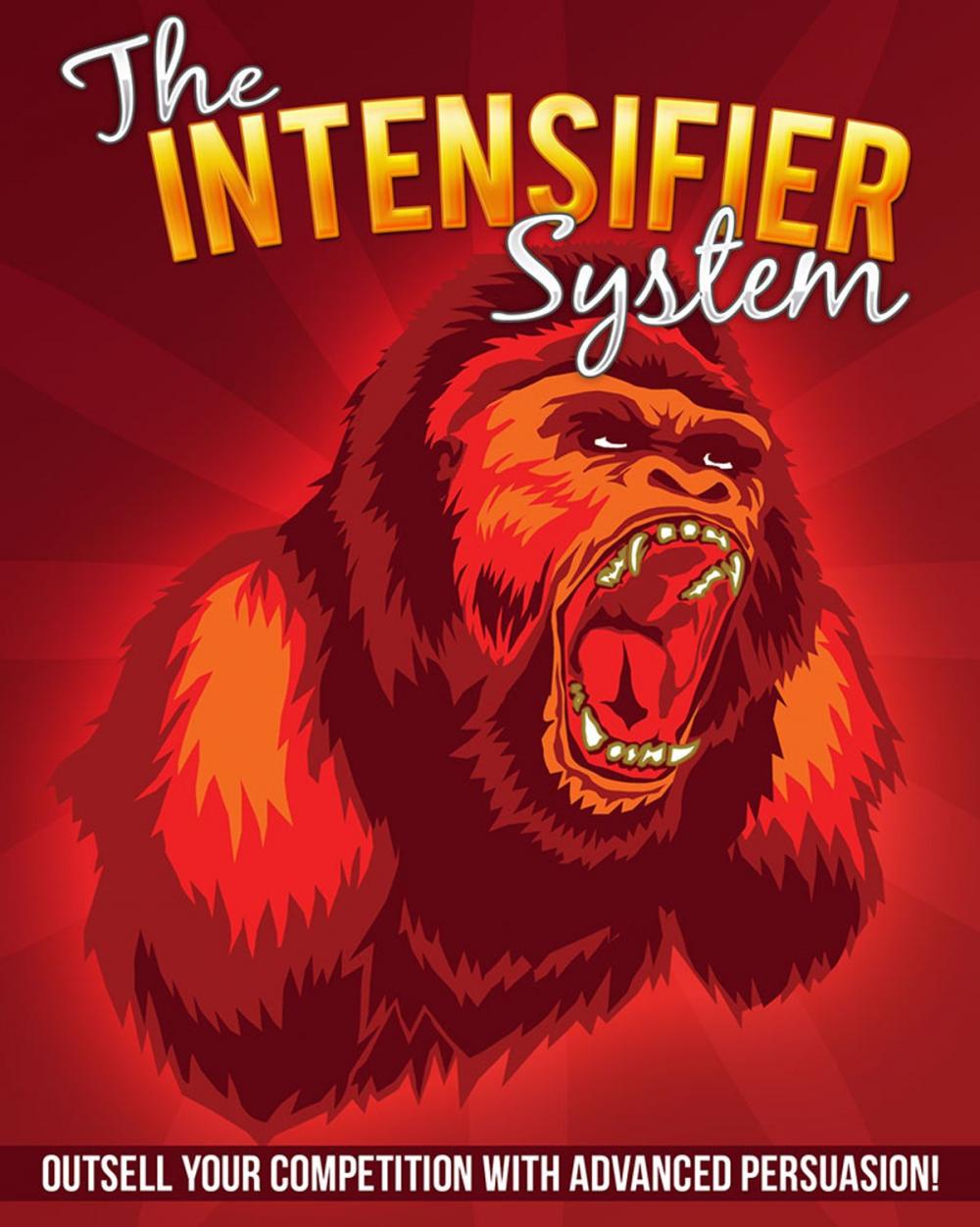 Big bigCover of The Intensifier System