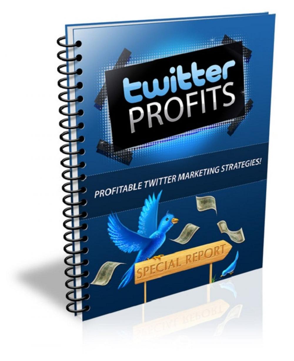 Big bigCover of Twitter Profits