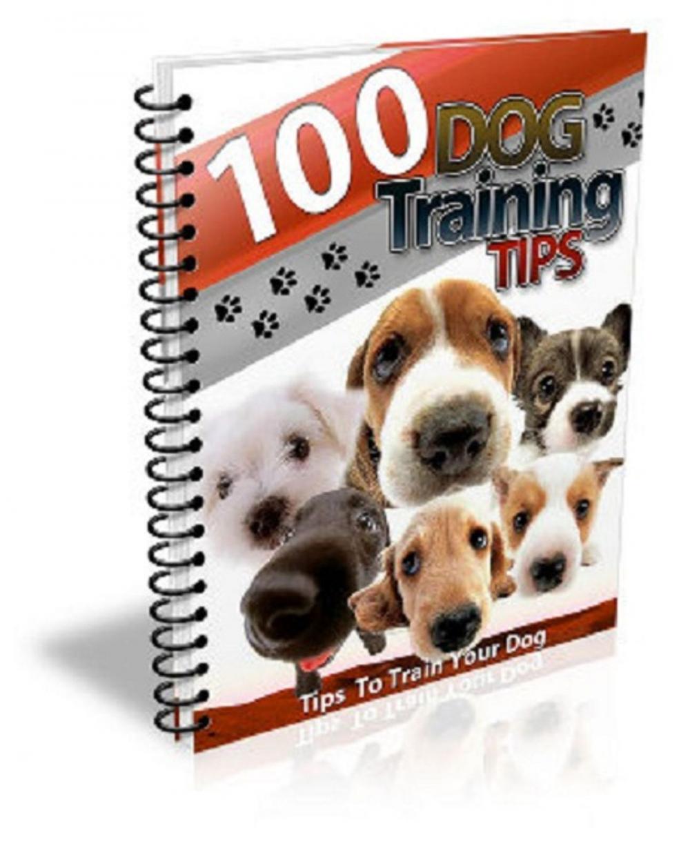 Big bigCover of 100 Dog Training Tips