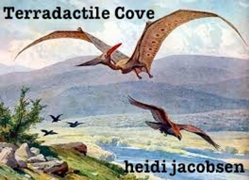 Big bigCover of Terradactile Cove