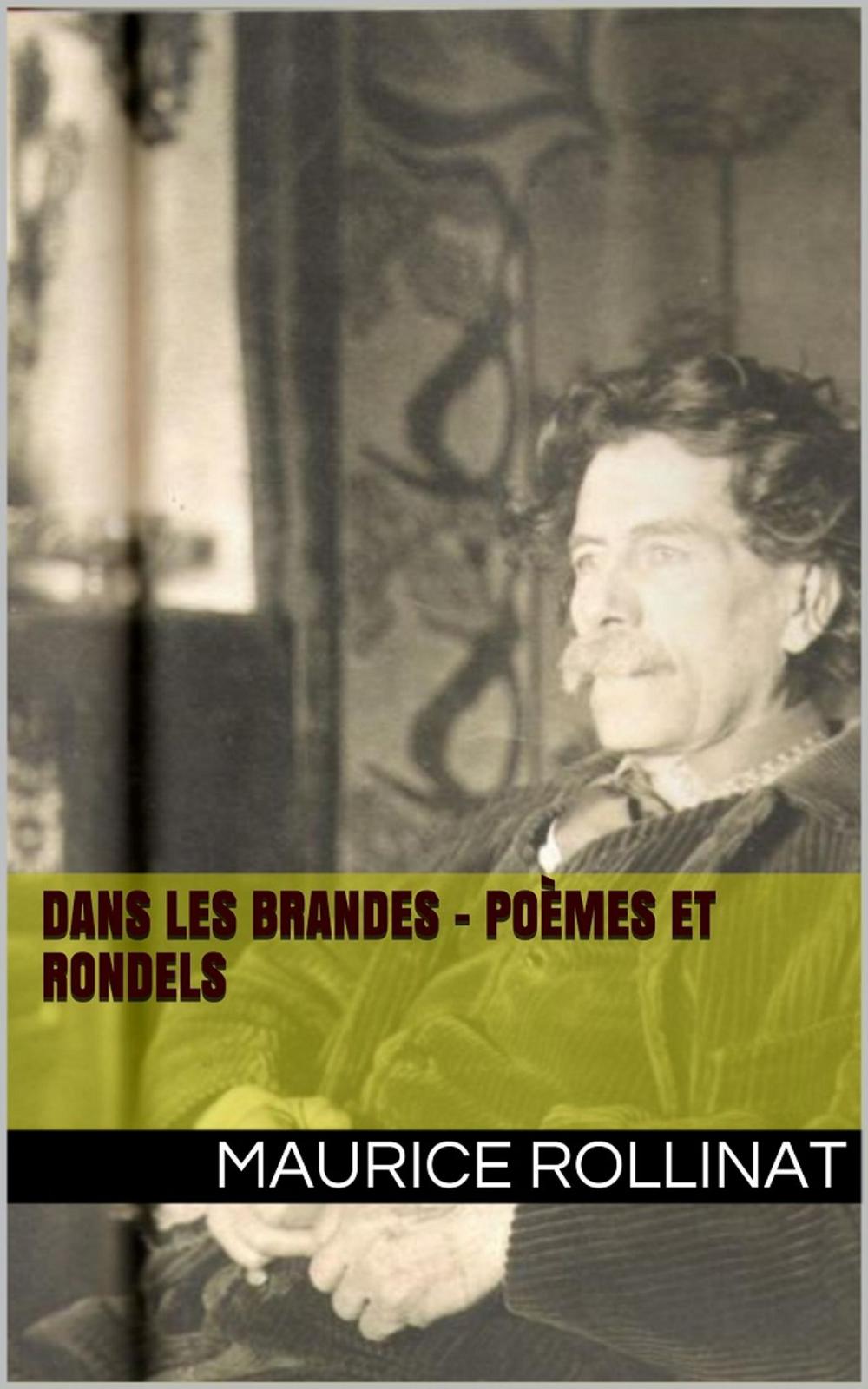 Big bigCover of Dans les Brandes - Poèmes et Rondels