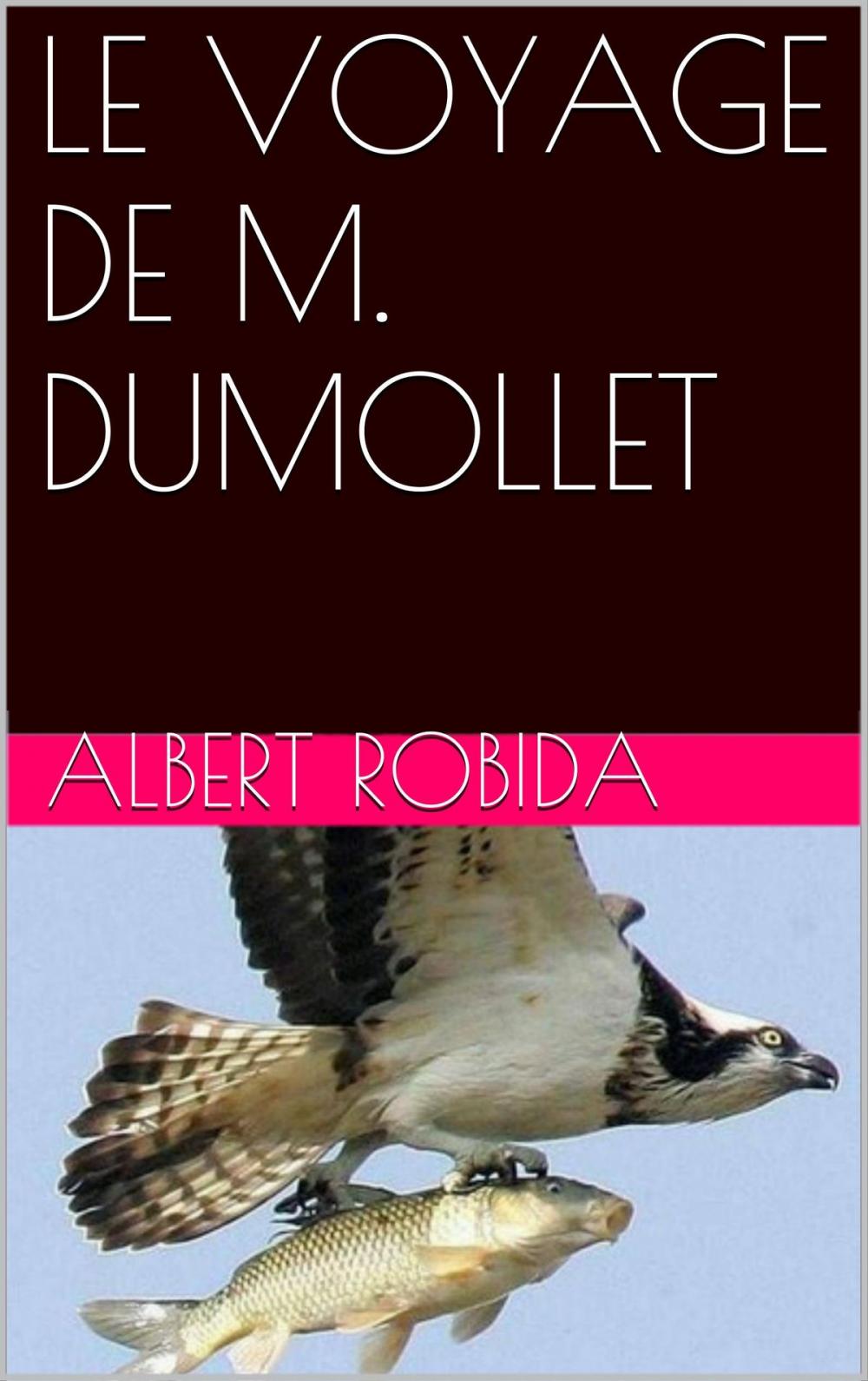 Big bigCover of LE VOYAGE DE M. DUMOLLET