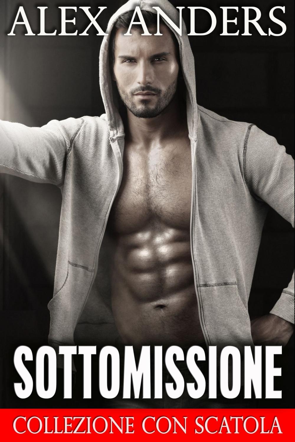 Big bigCover of Sottomissione