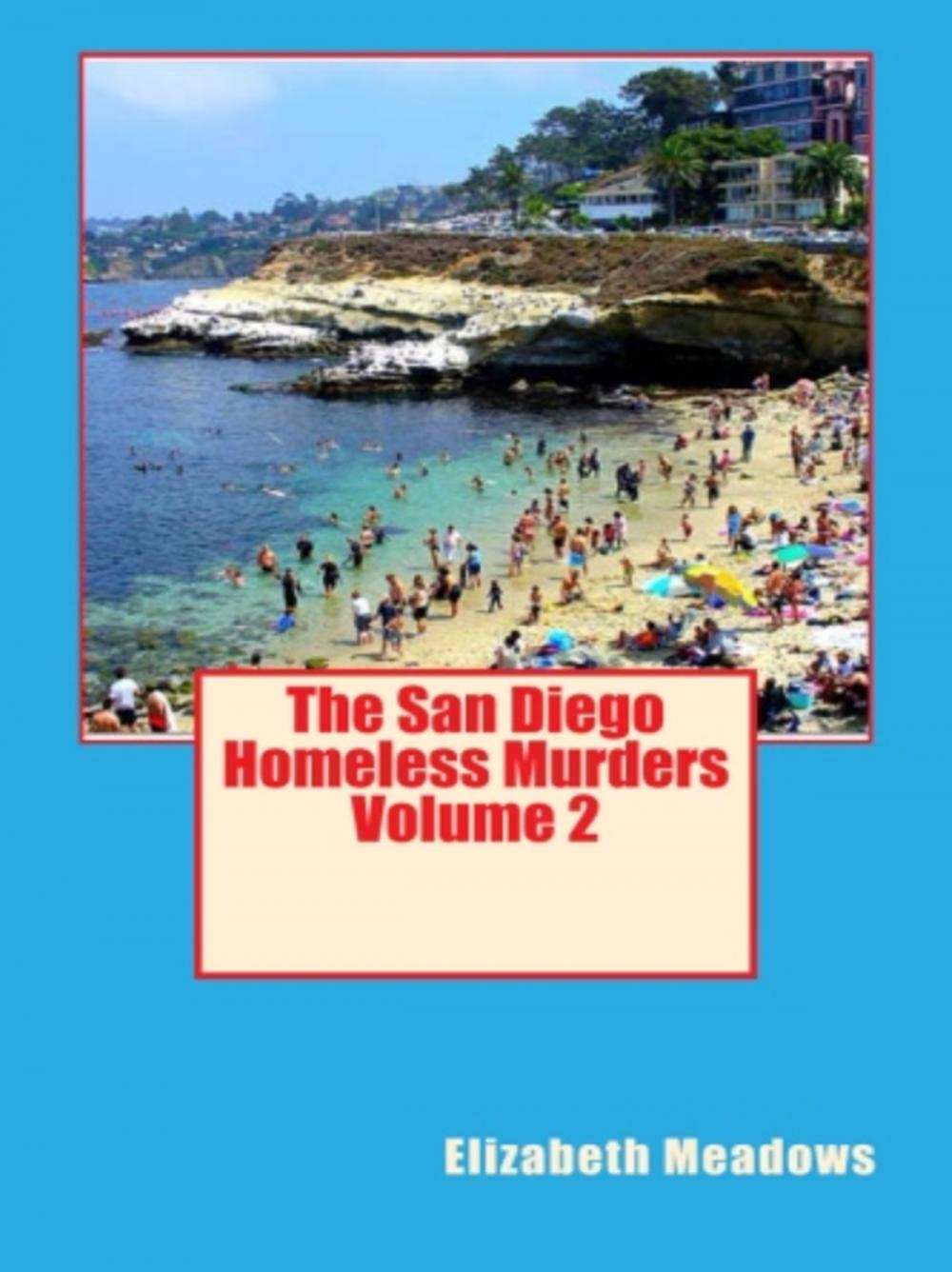 Big bigCover of The San Diego Homeless Murders Volume 2