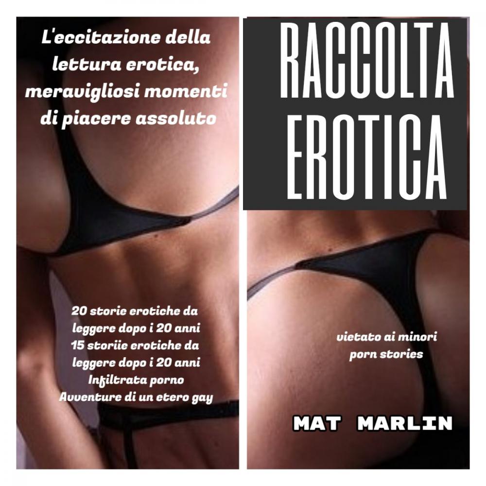 Big bigCover of Raccolta erotica (porn stories)