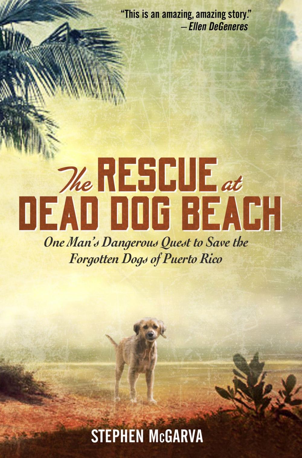 Big bigCover of The Rescue at Dead Dog Beach