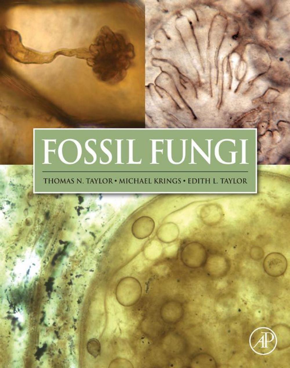 Big bigCover of Fossil Fungi