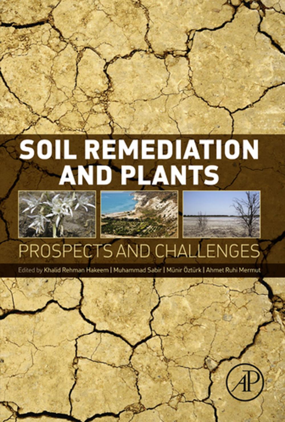 Big bigCover of Soil Remediation and Plants