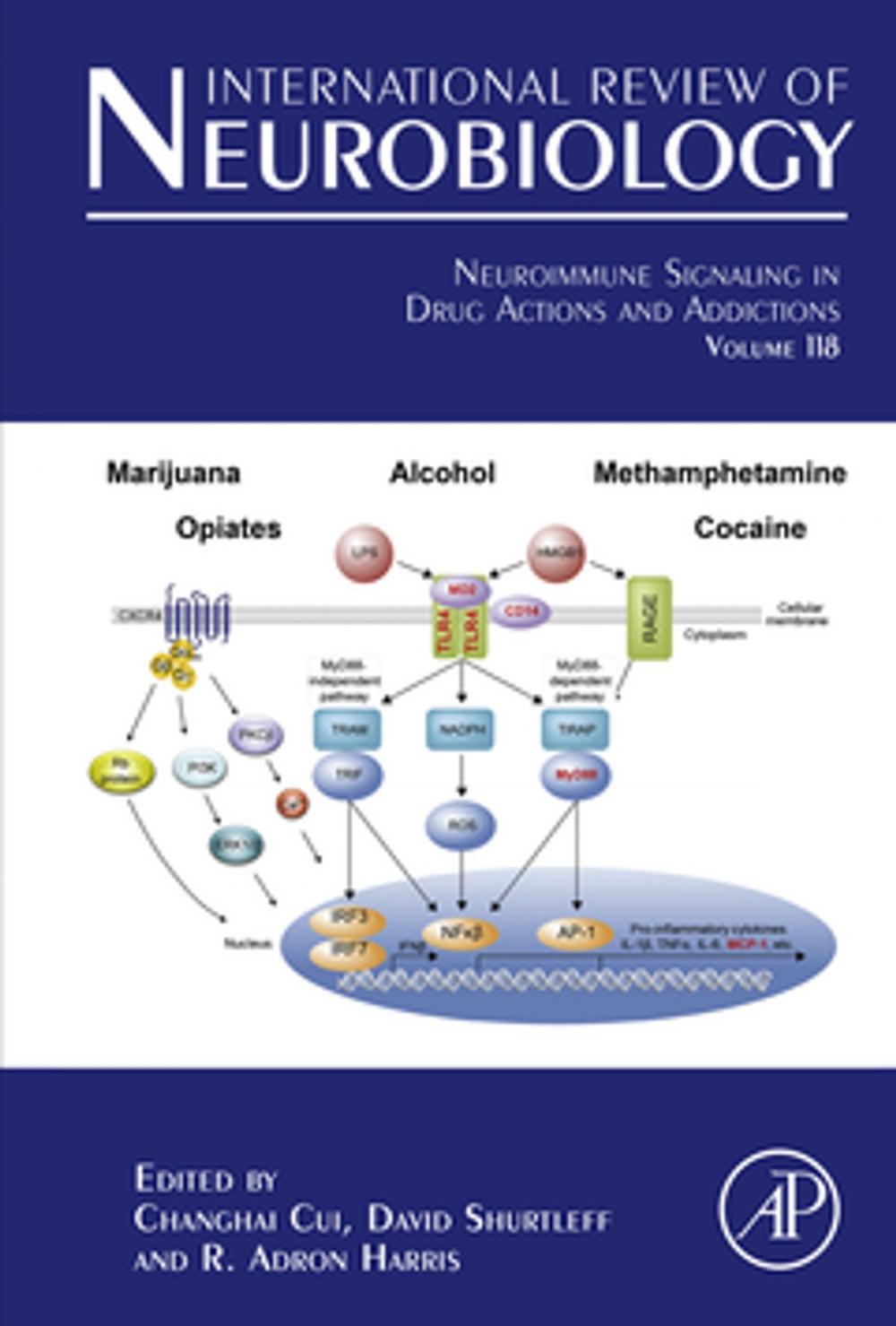 Big bigCover of Neuroimmune Signaling in Drug Actions and Addictions