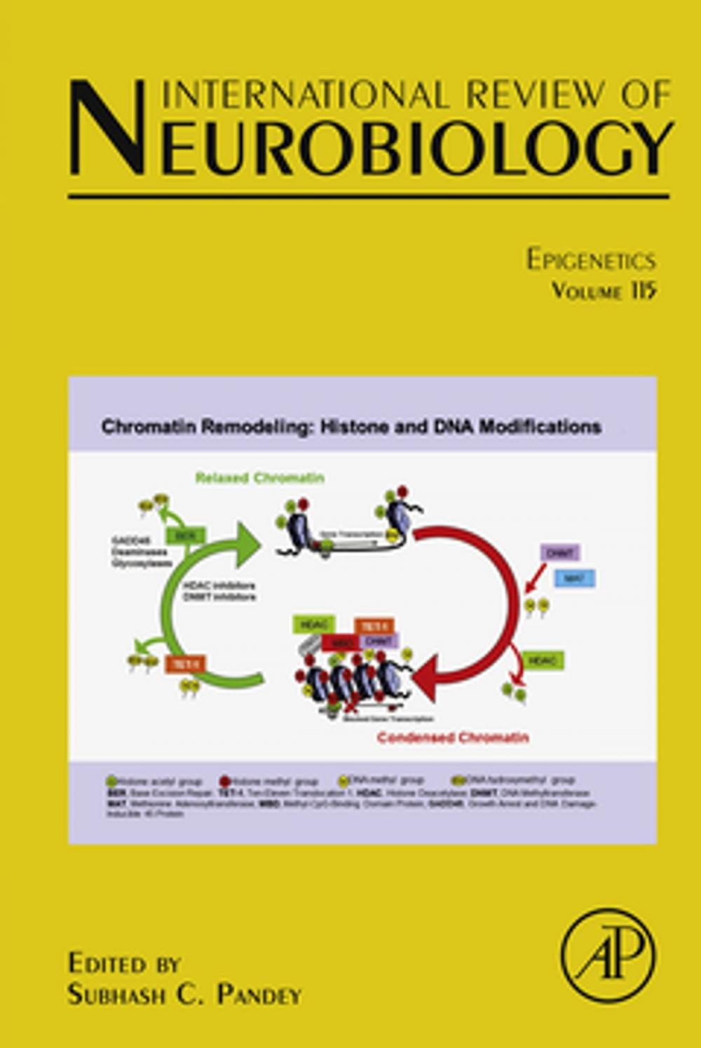 Big bigCover of Epigenetics