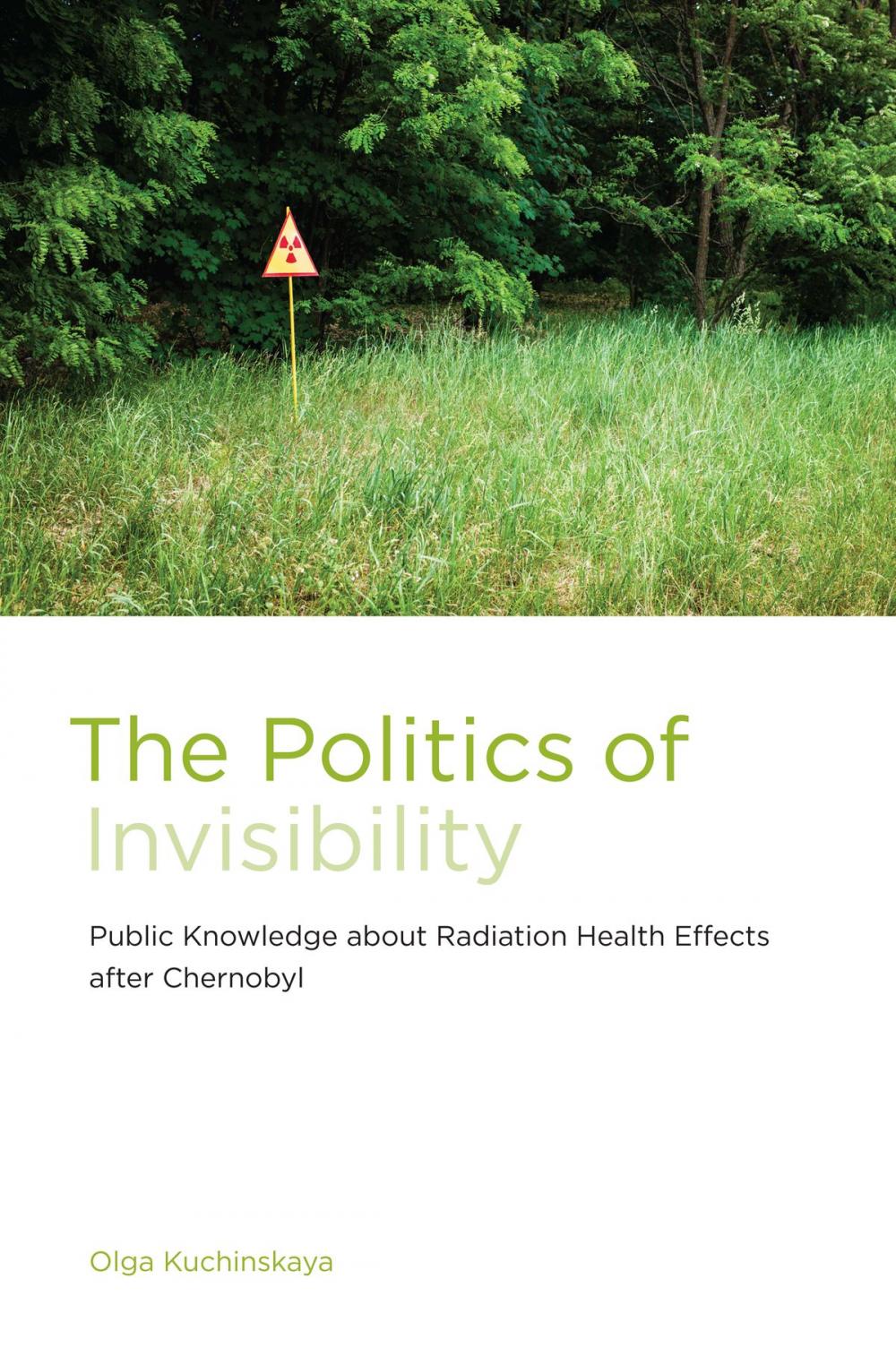 Big bigCover of The Politics of Invisibility