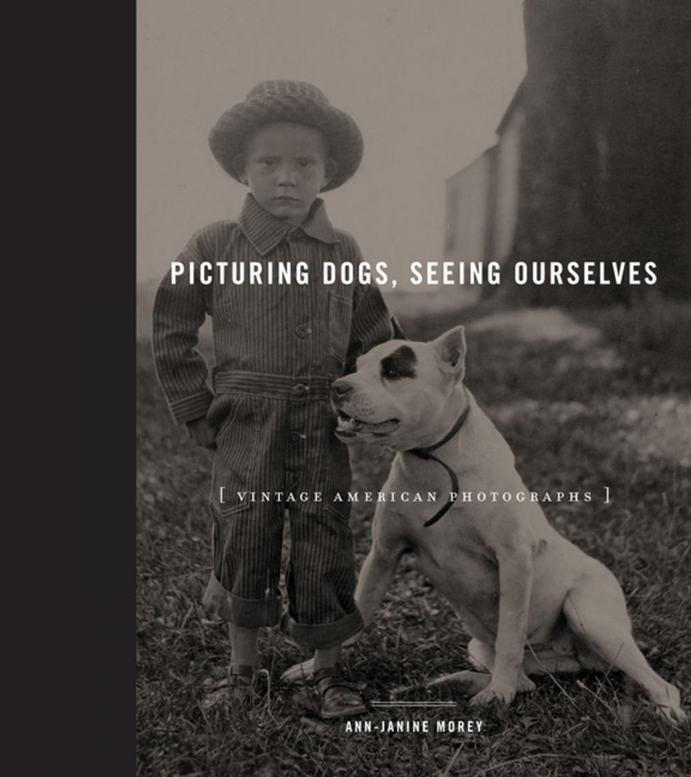 Big bigCover of Picturing Dogs, Seeing Ourselves