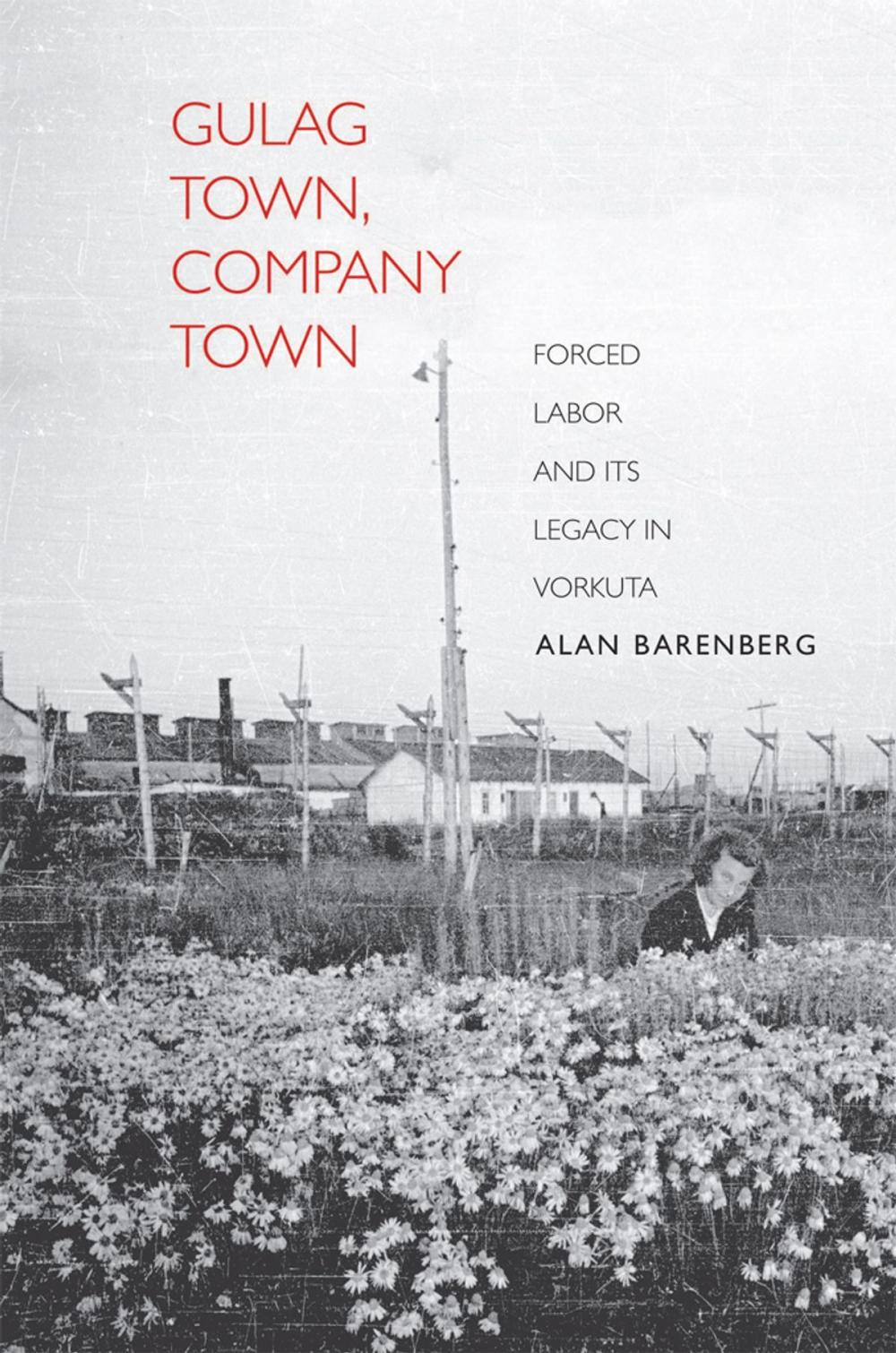 Big bigCover of Gulag Town, Company Town