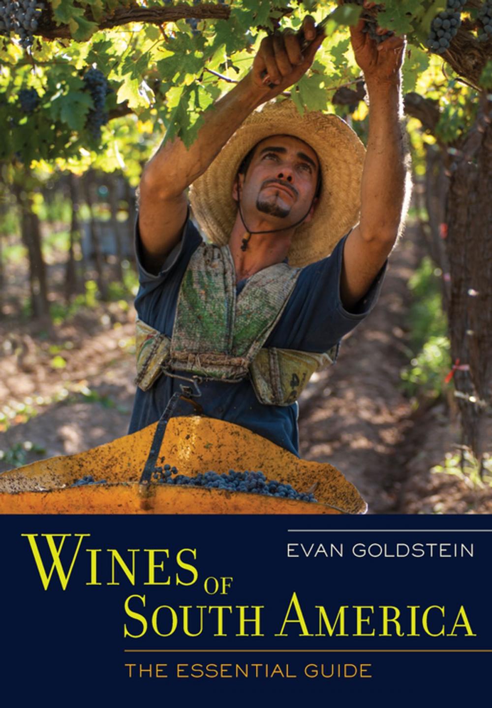 Big bigCover of Wines of South America