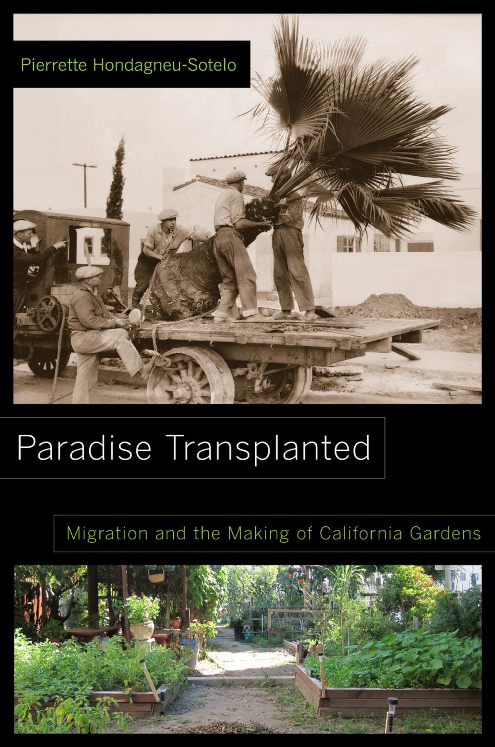 Big bigCover of Paradise Transplanted