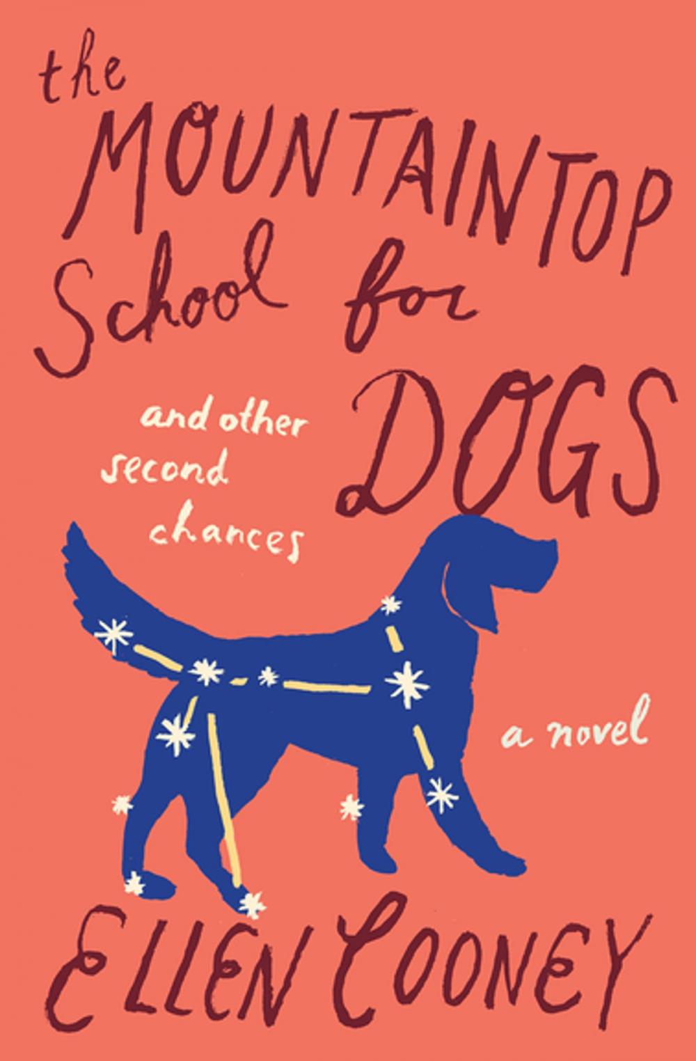 Big bigCover of The Mountaintop School for Dogs and Other Second Chances