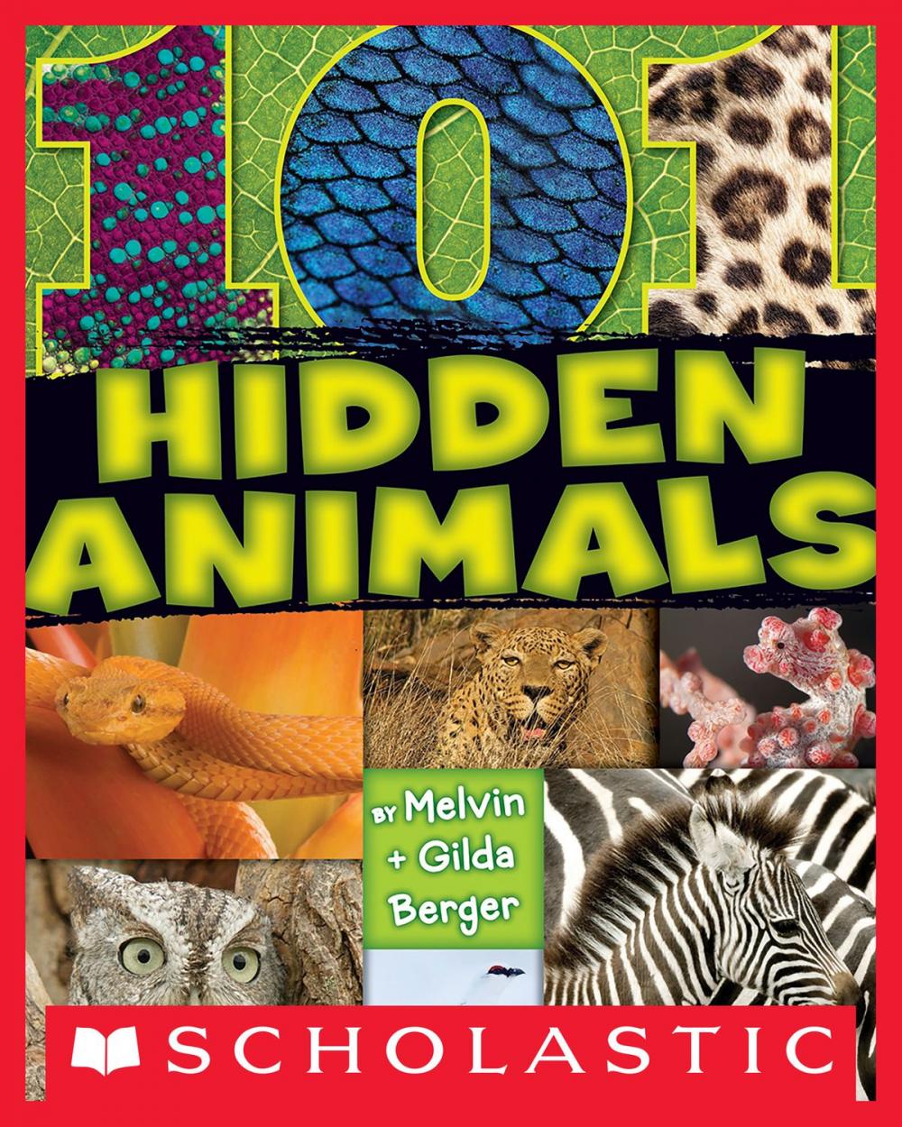 Big bigCover of 101 Hidden Animals