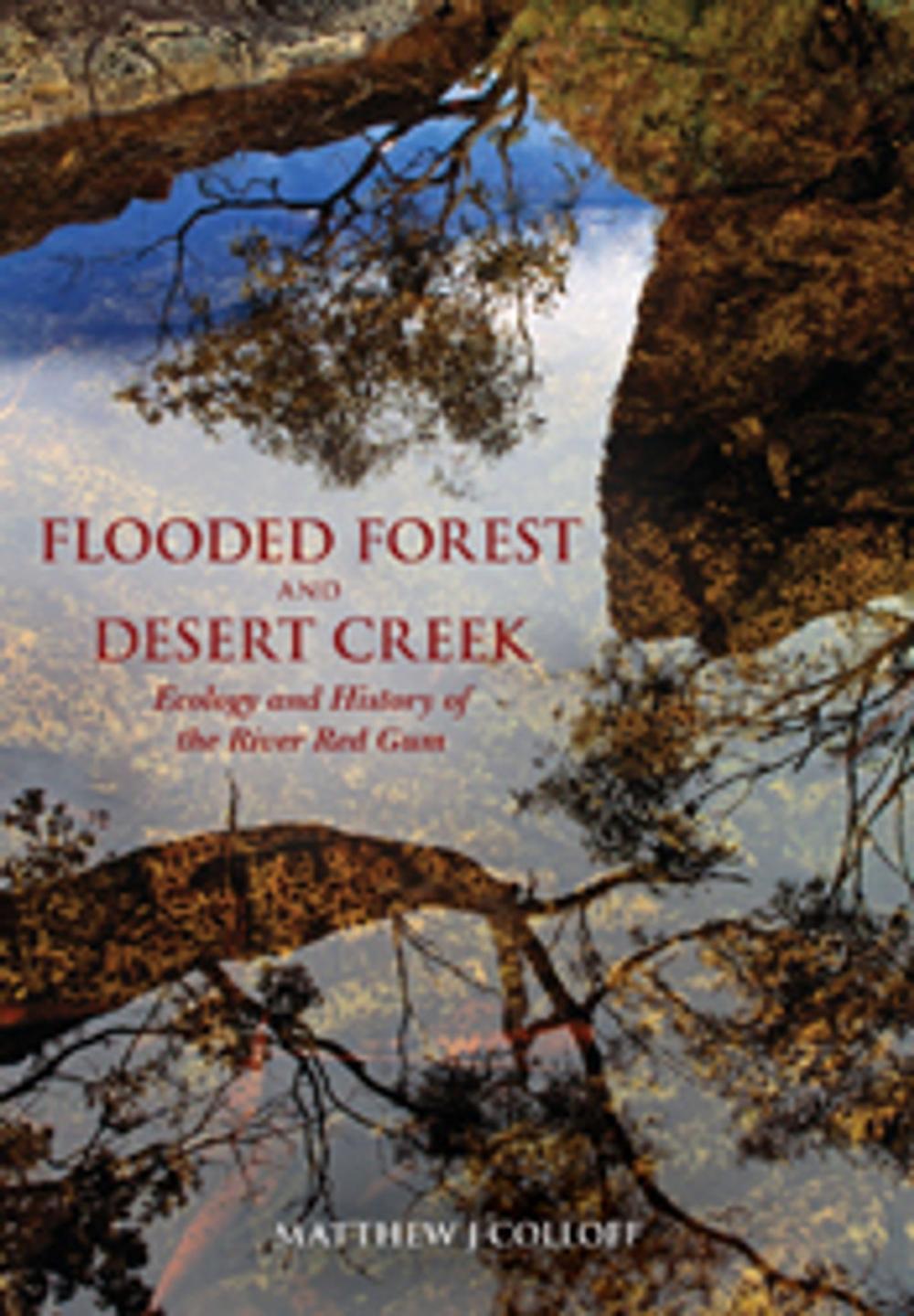 Big bigCover of Flooded Forest and Desert Creek