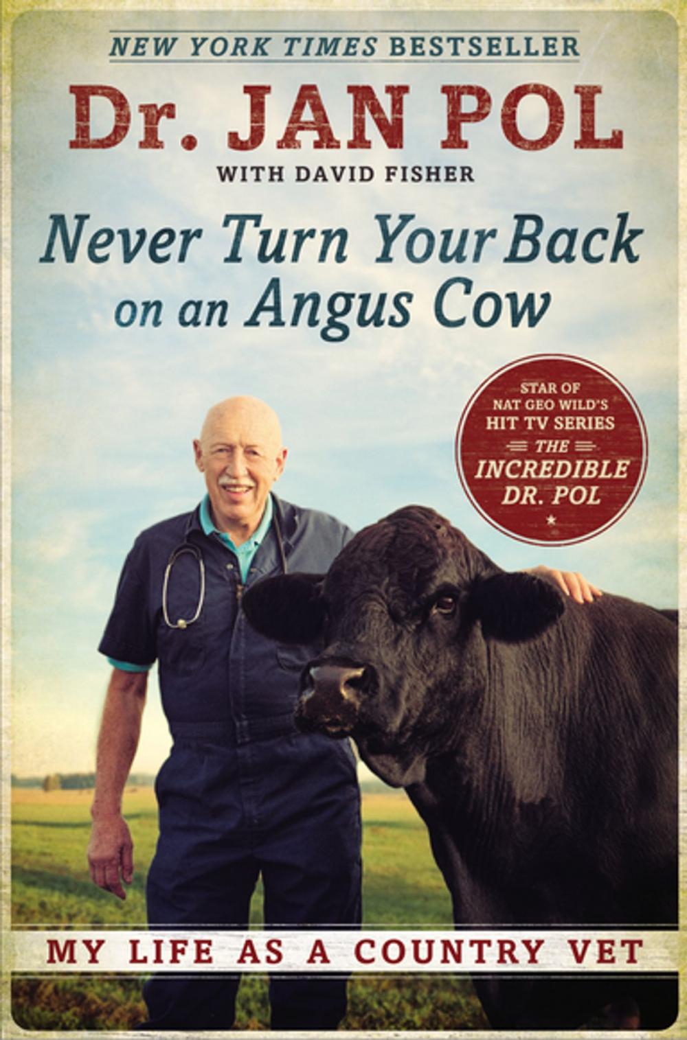 Big bigCover of Never Turn Your Back on an Angus Cow