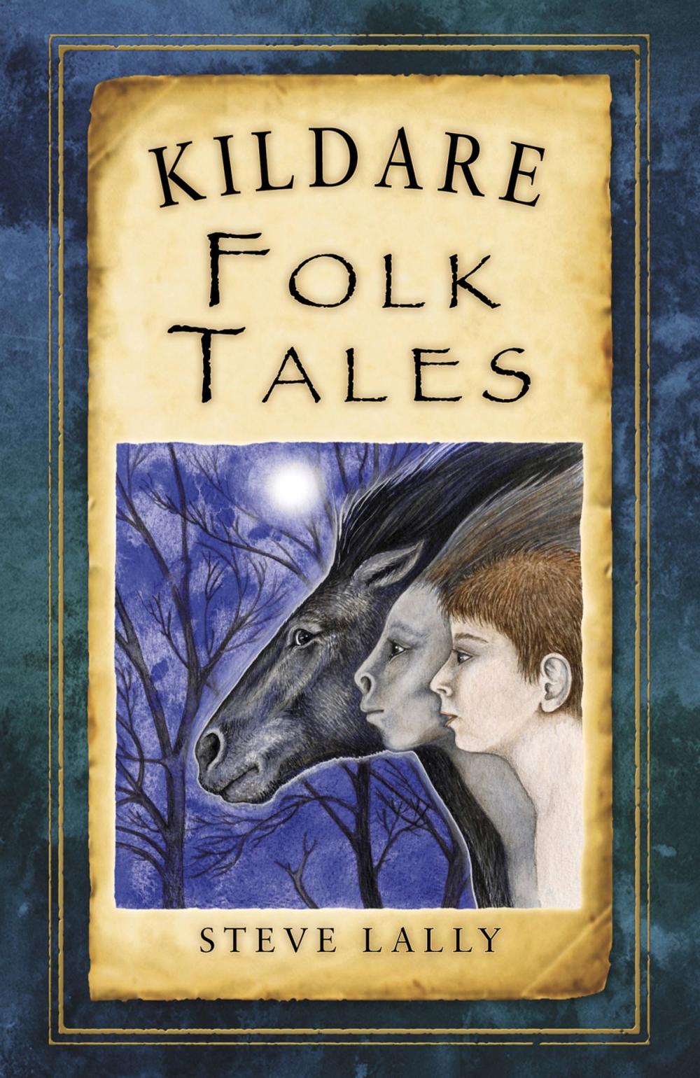 Big bigCover of Kildare Folk Tales