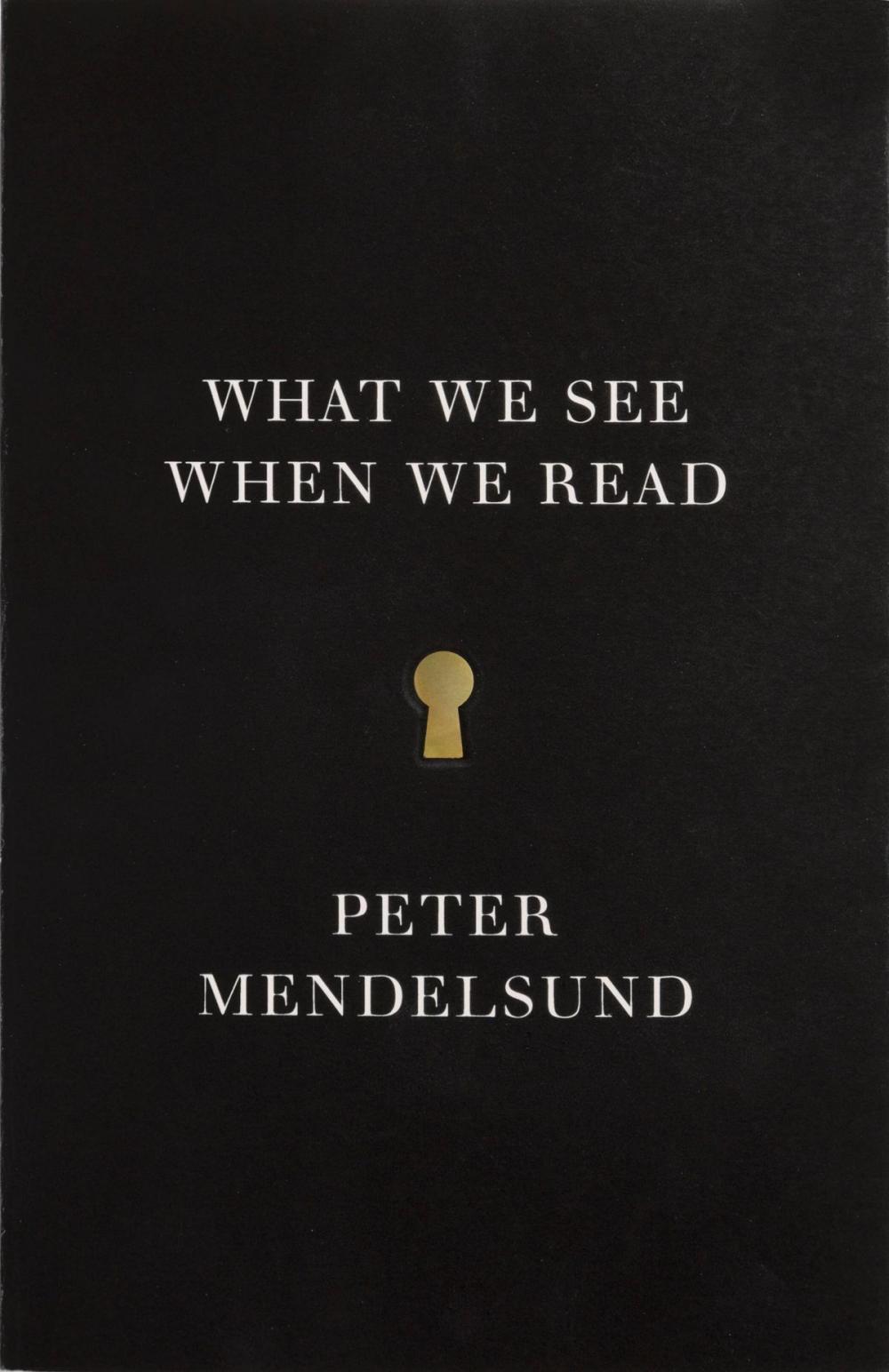 Big bigCover of What We See When We Read