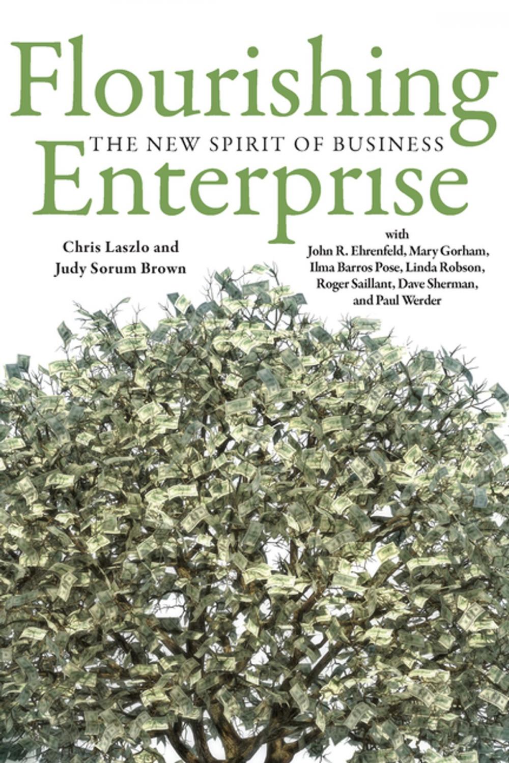 Big bigCover of Flourishing Enterprise