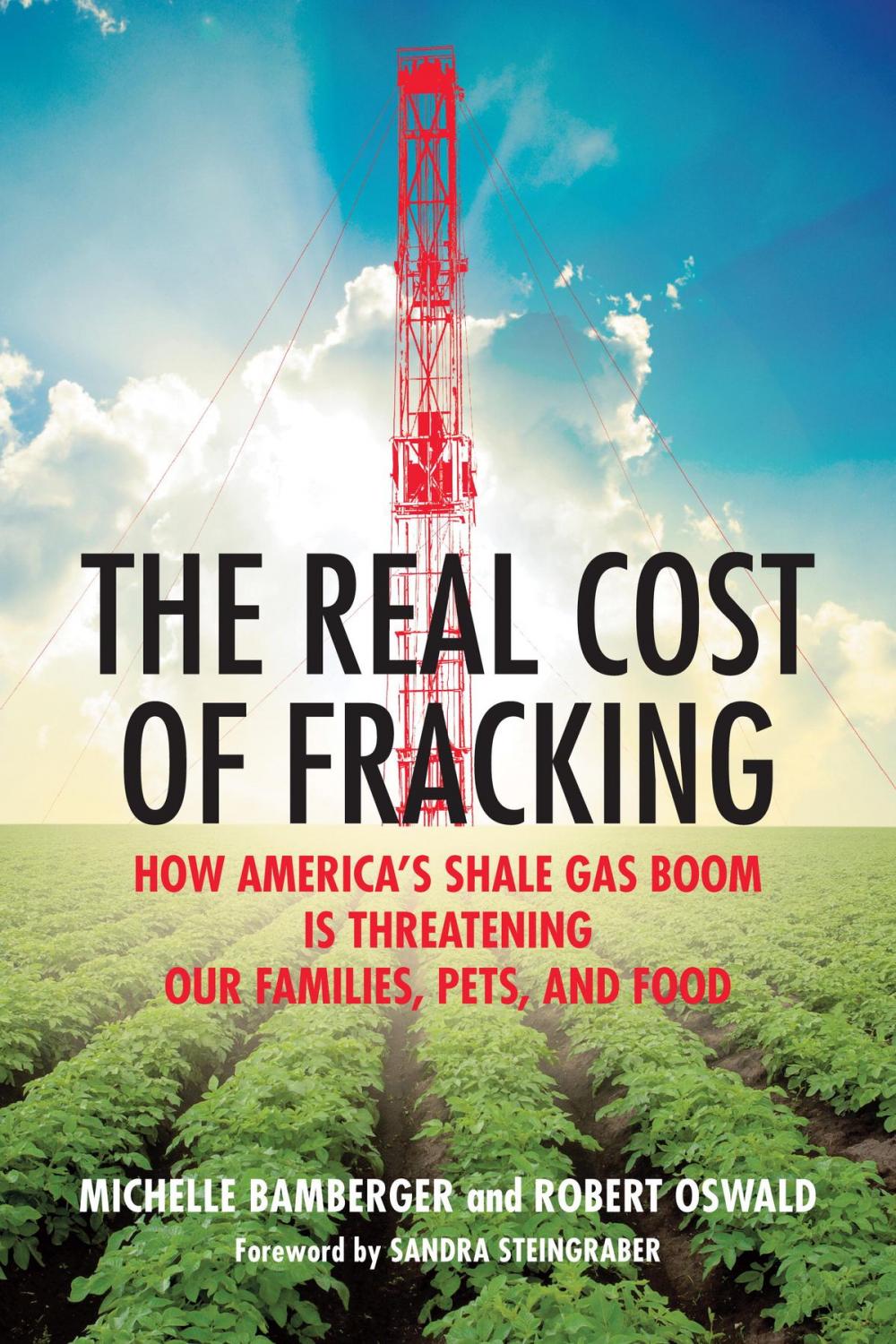 Big bigCover of The Real Cost of Fracking