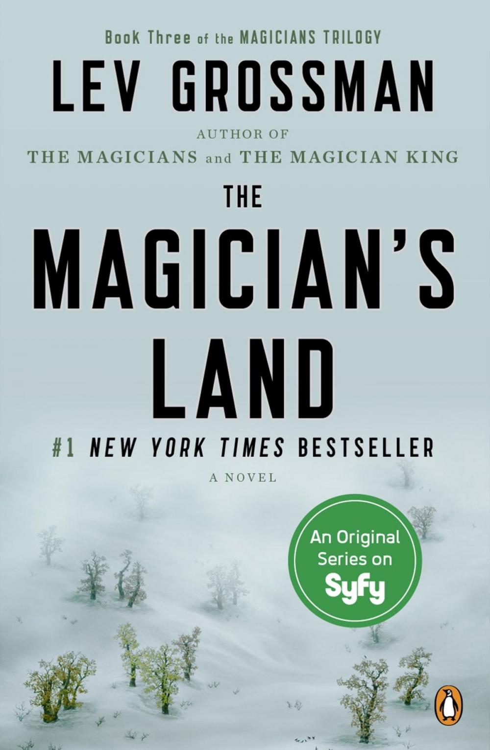 Big bigCover of The Magician's Land