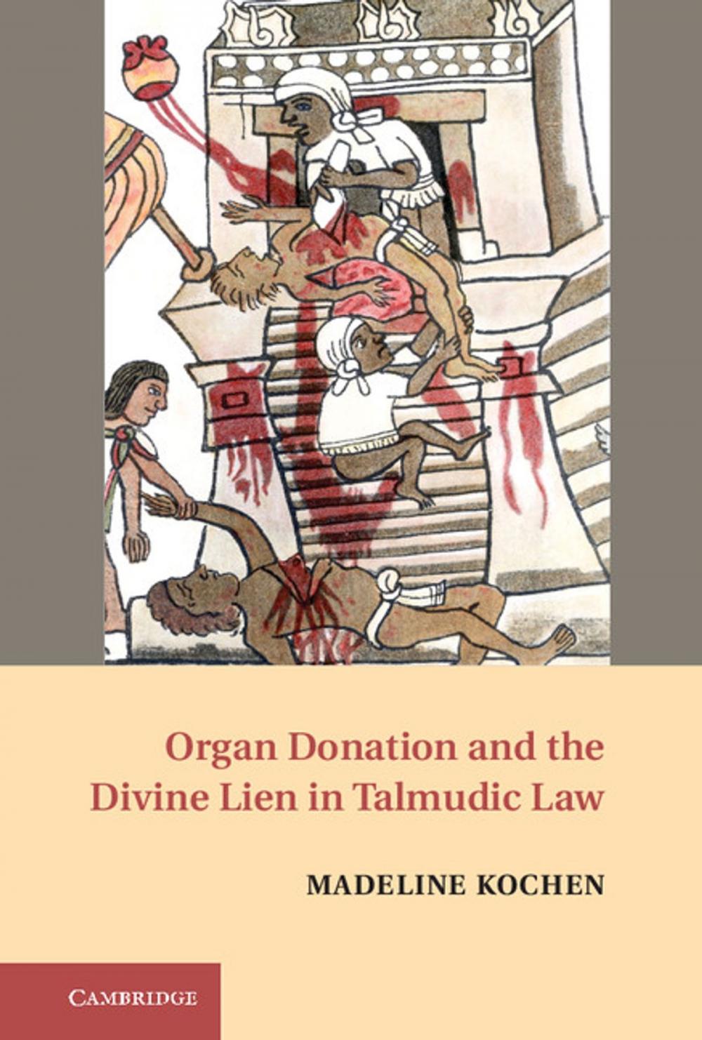 Big bigCover of Organ Donation and the Divine Lien in Talmudic Law