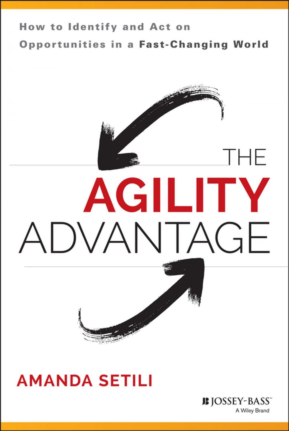 Big bigCover of The Agility Advantage