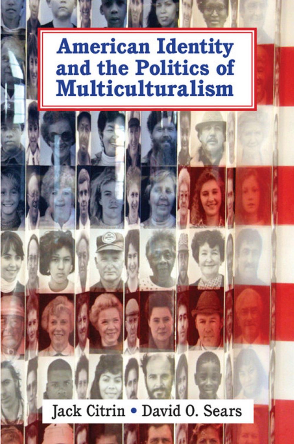 Big bigCover of American Identity and the Politics of Multiculturalism