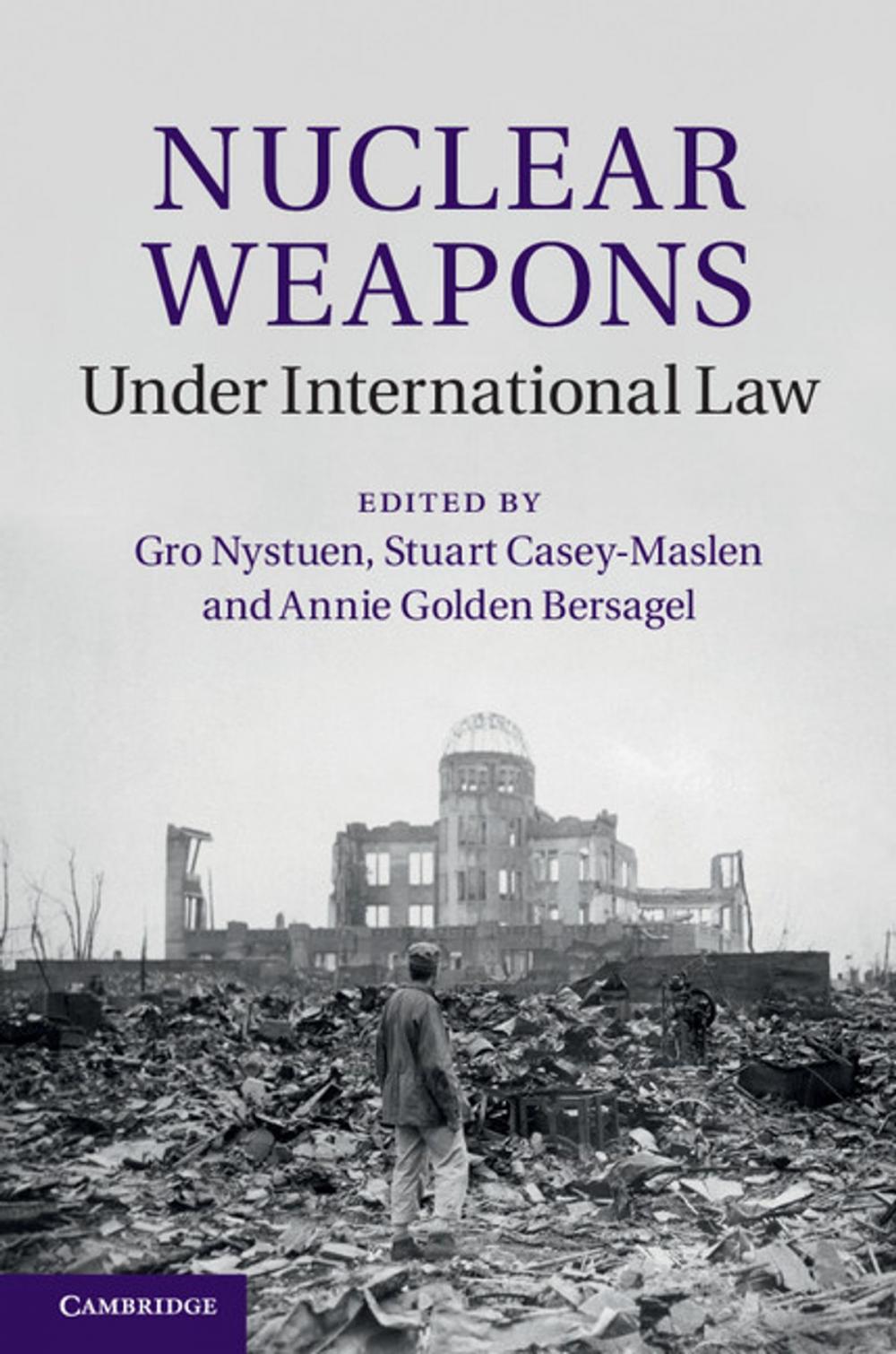 Big bigCover of Nuclear Weapons under International Law