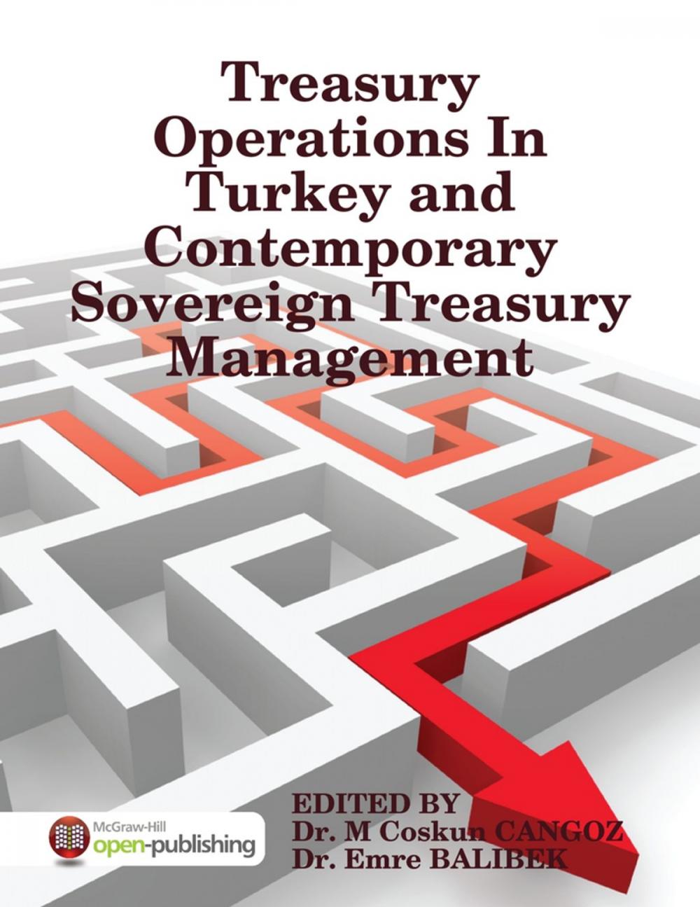 Big bigCover of Treasury Operations In Turkey and Contemporary Sovereign Treasury Management