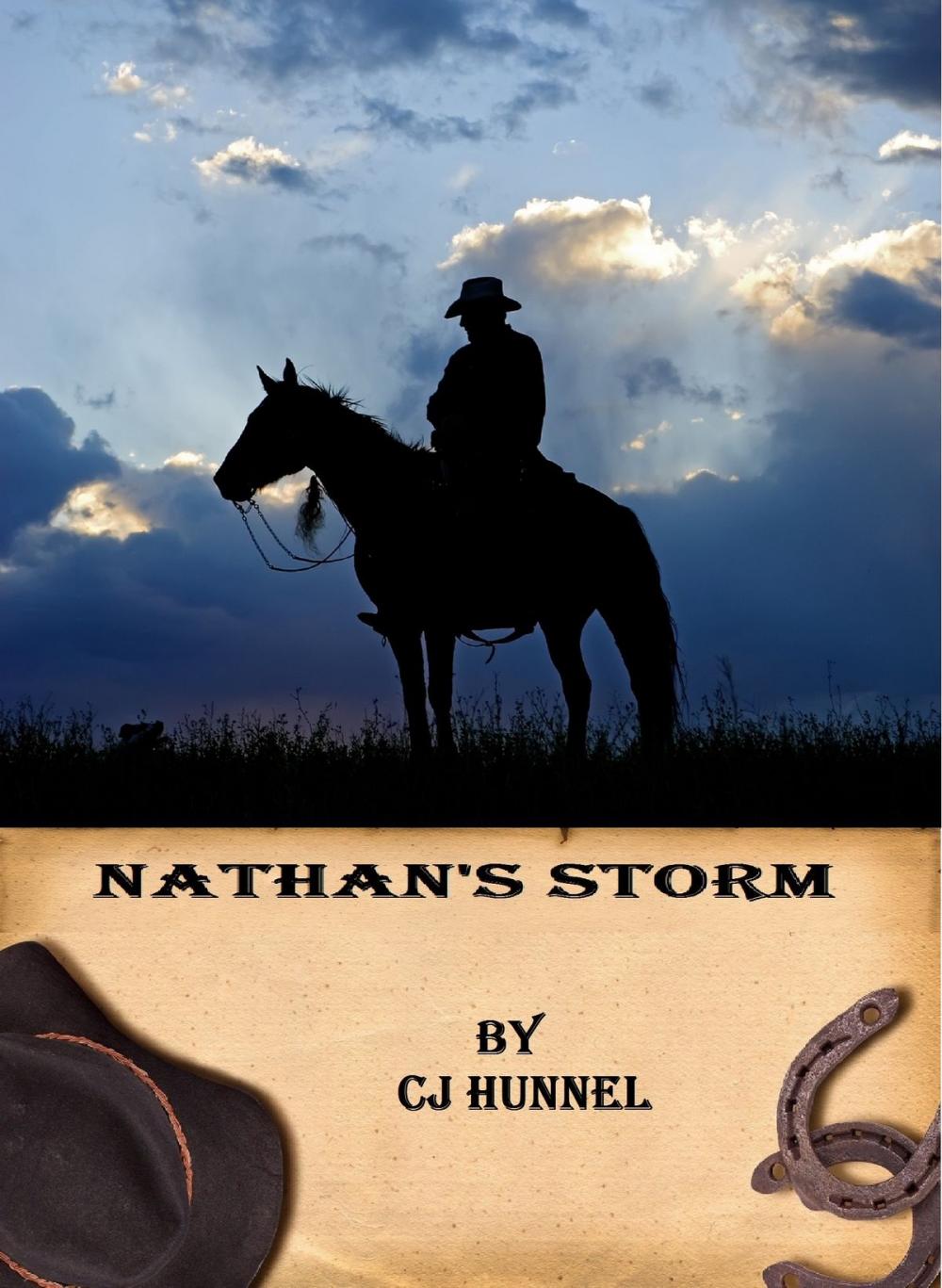 Big bigCover of Nathan's Storm