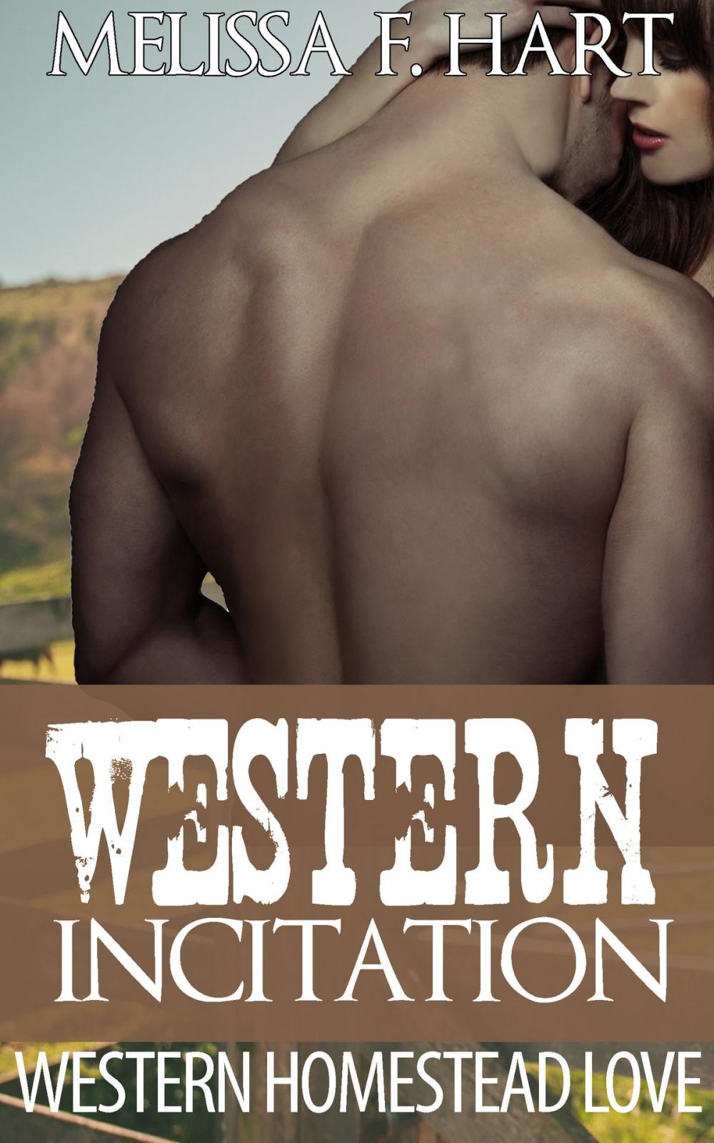 Big bigCover of Western Incitation (Western Homestead Love, Book 3)