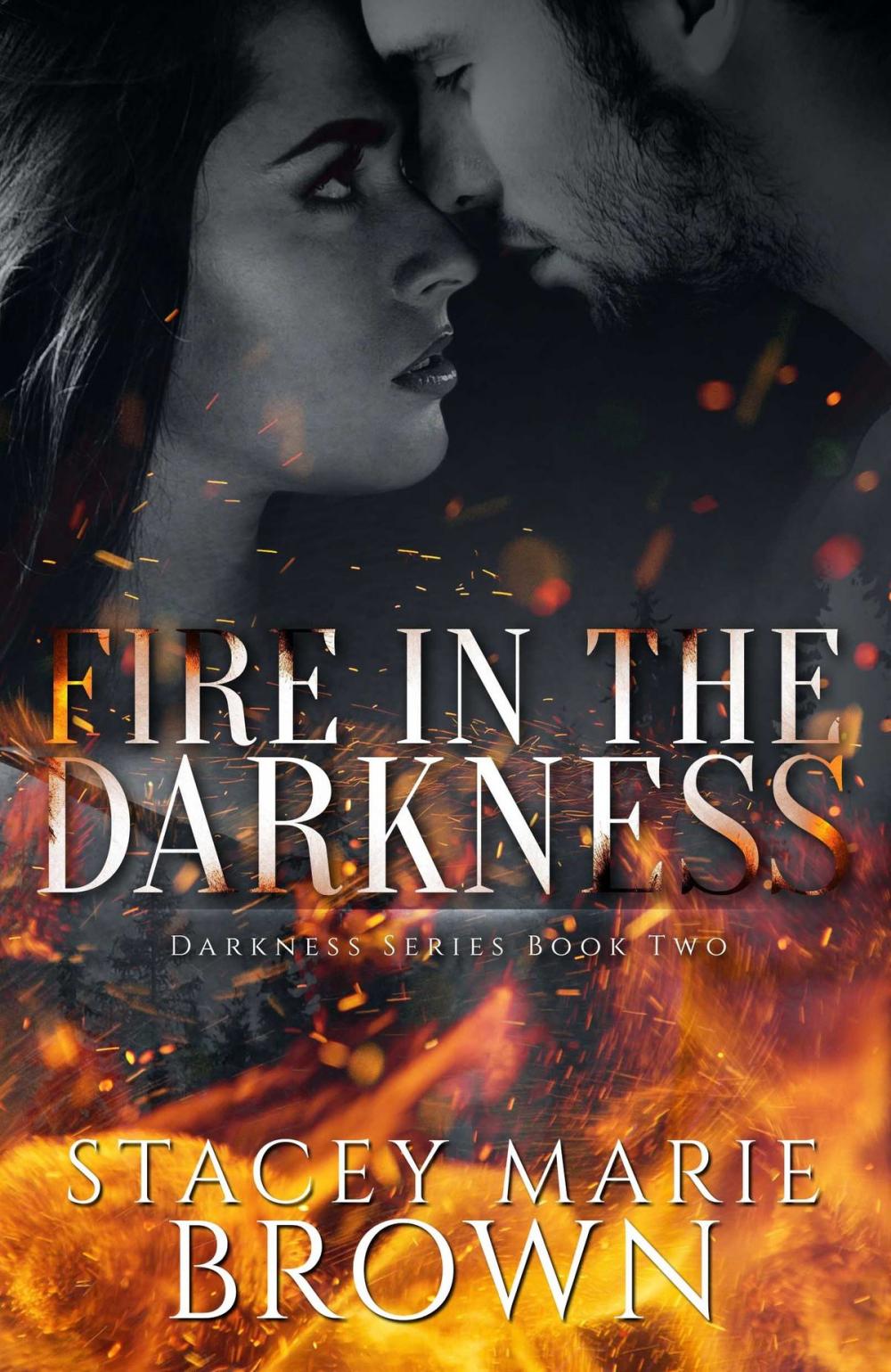 Big bigCover of Fire In The Darkness (Darkness Series #2)