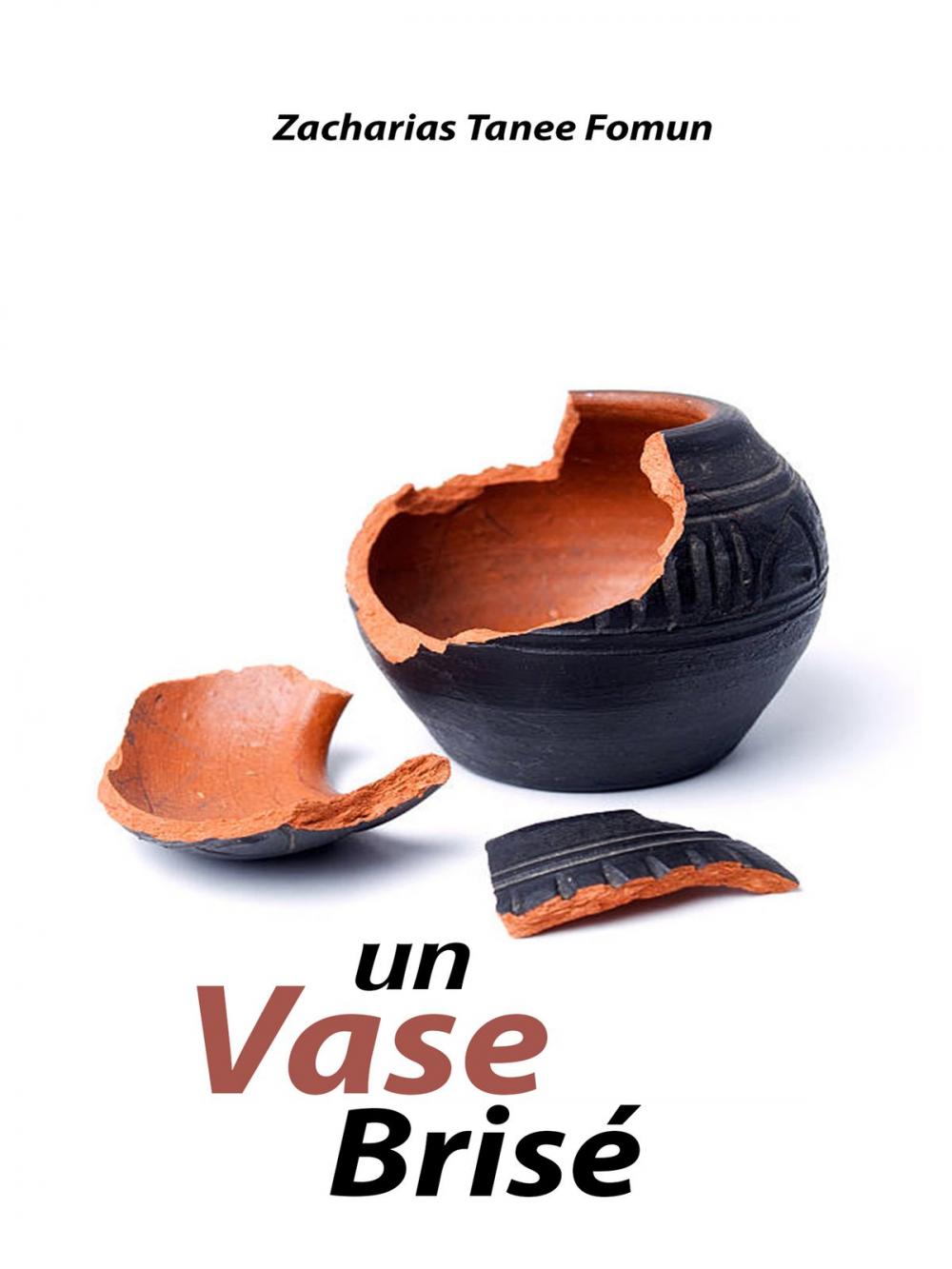 Big bigCover of Un Vase Brisé