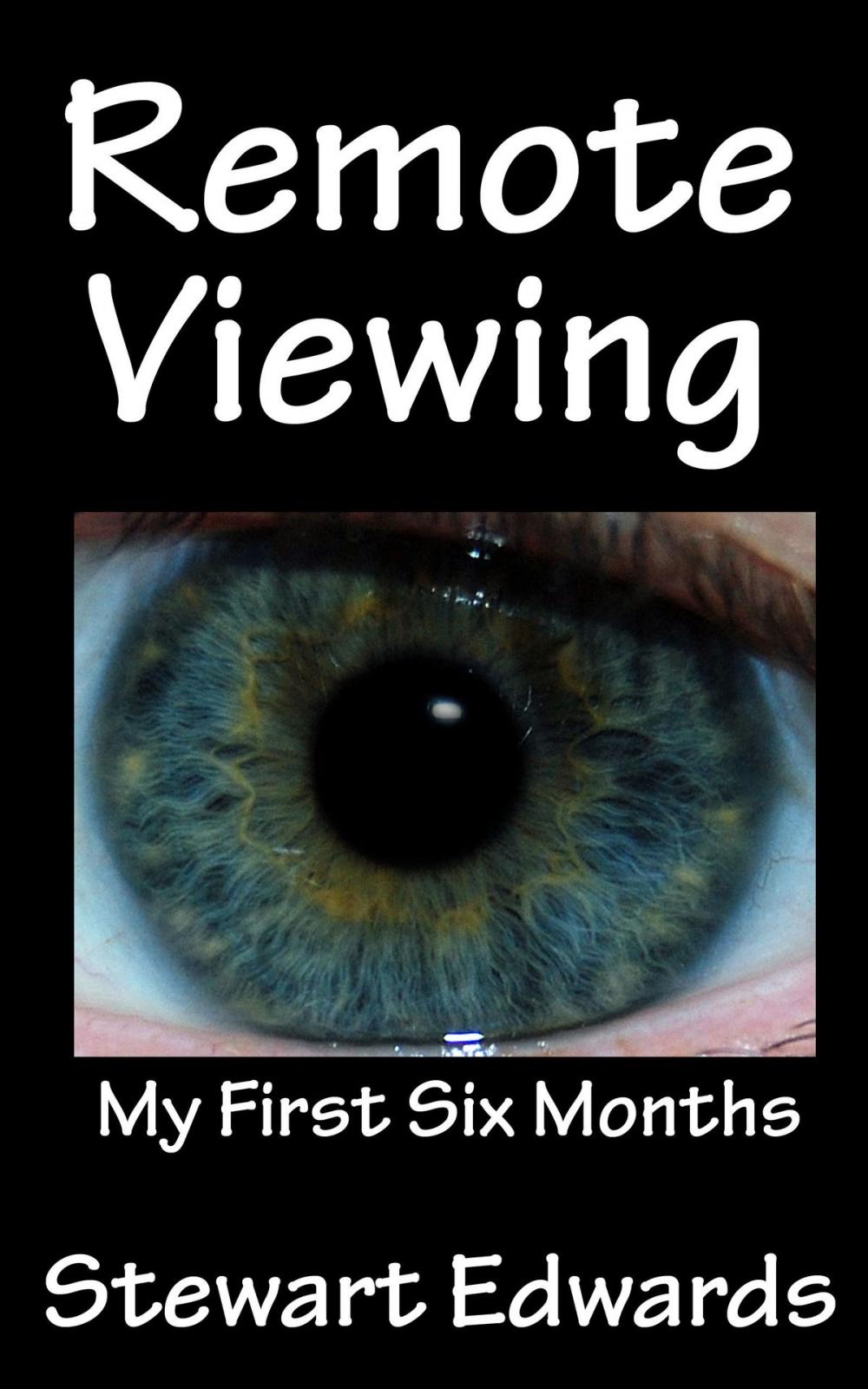 Big bigCover of Remote Viewing My First Six Months