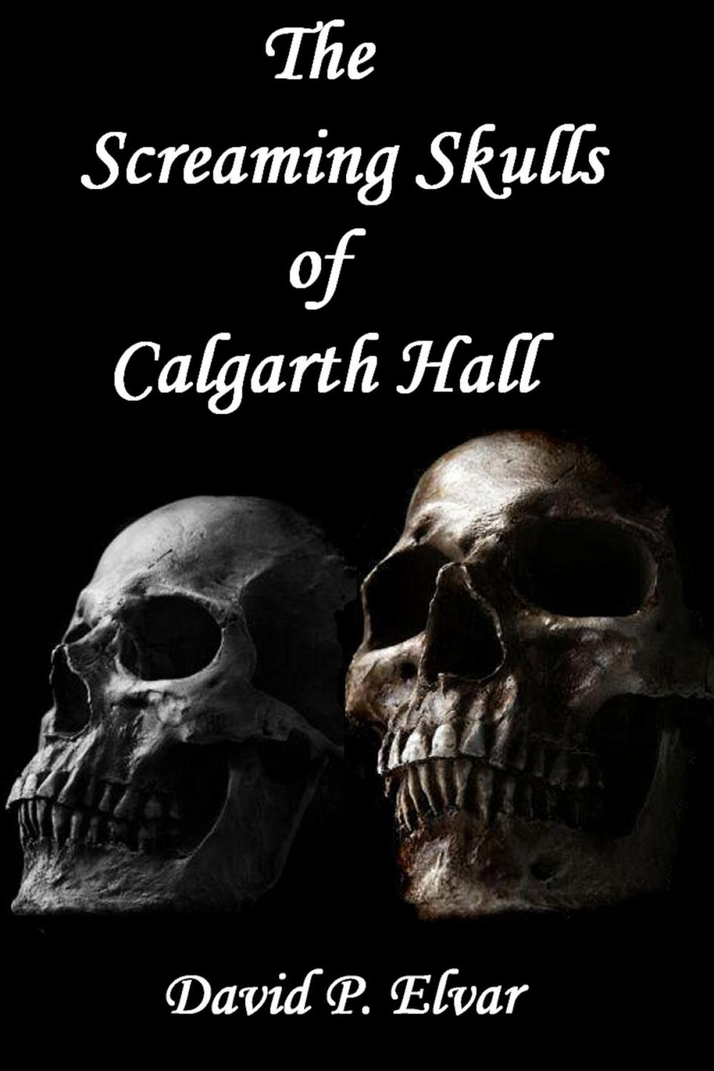 Big bigCover of The Screaming Skulls of Calgarth Hall