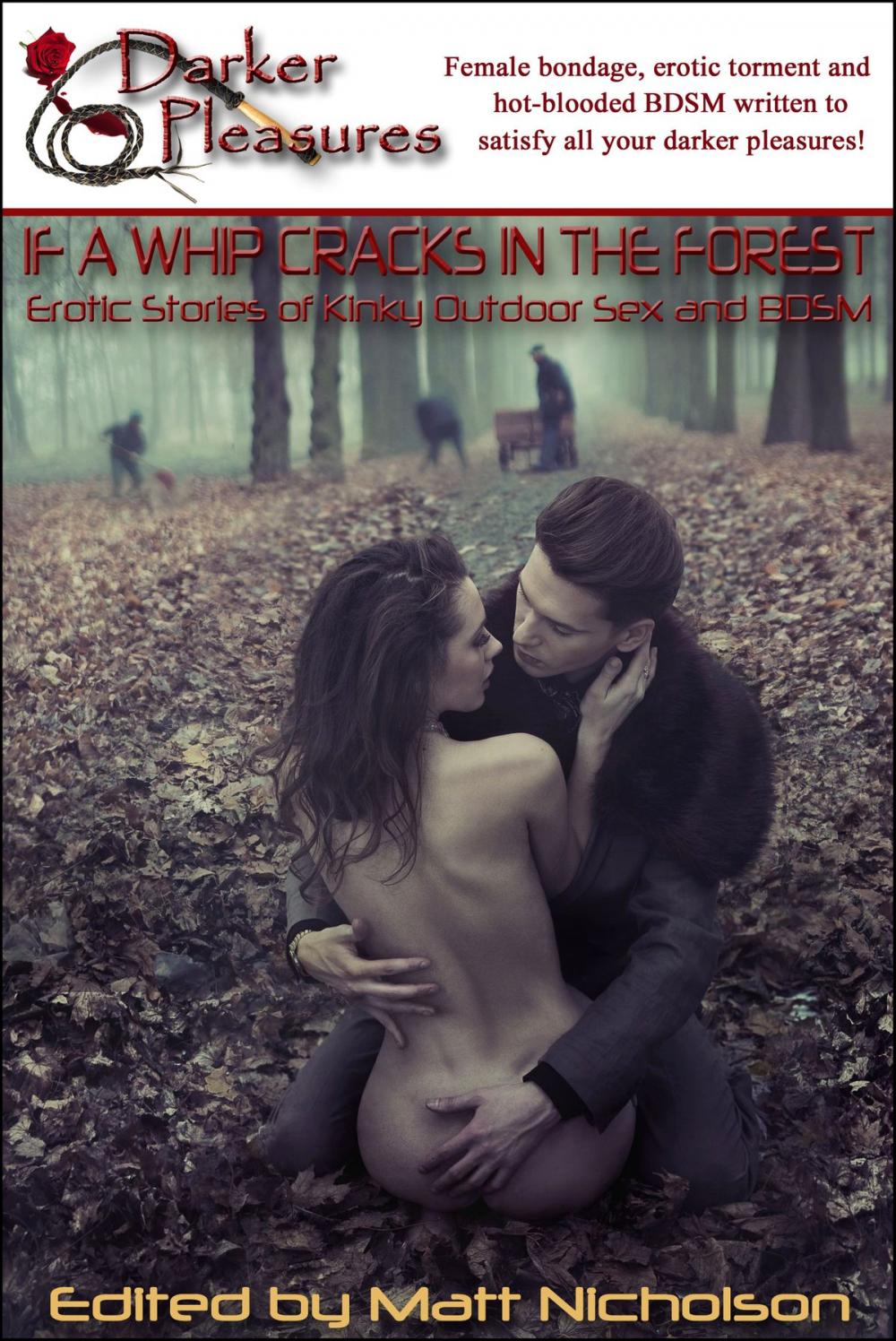 Big bigCover of If a Whip Cracks in the Forest: Erotic Stories of Kinky Outdoor Sex and BDSM