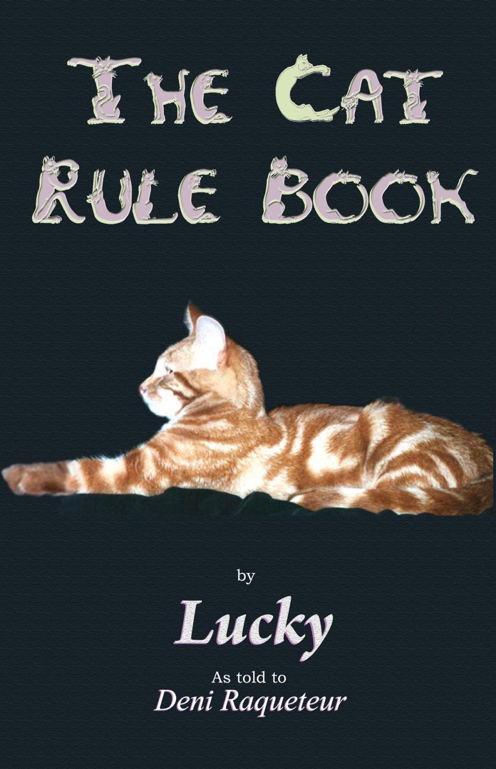 Big bigCover of The Cat Rule Book