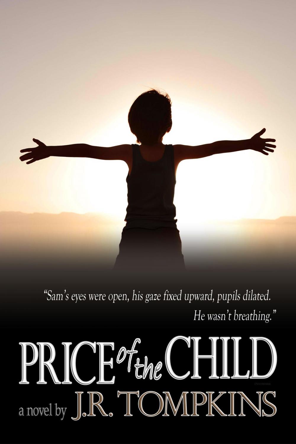 Big bigCover of Price of the Child