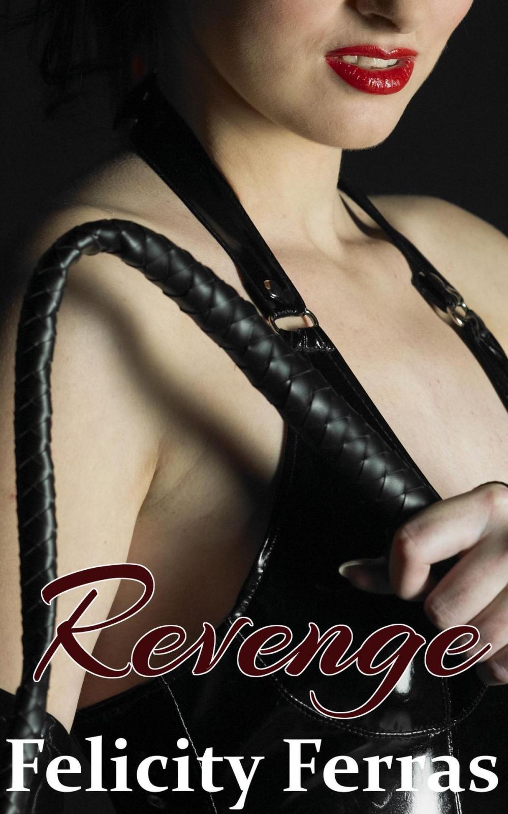 Big bigCover of Revenge (A BDSM, Aggressive Femdom Story)