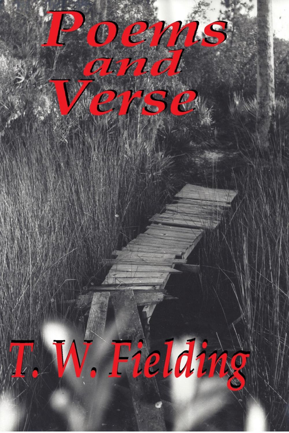 Big bigCover of Poems and Verse